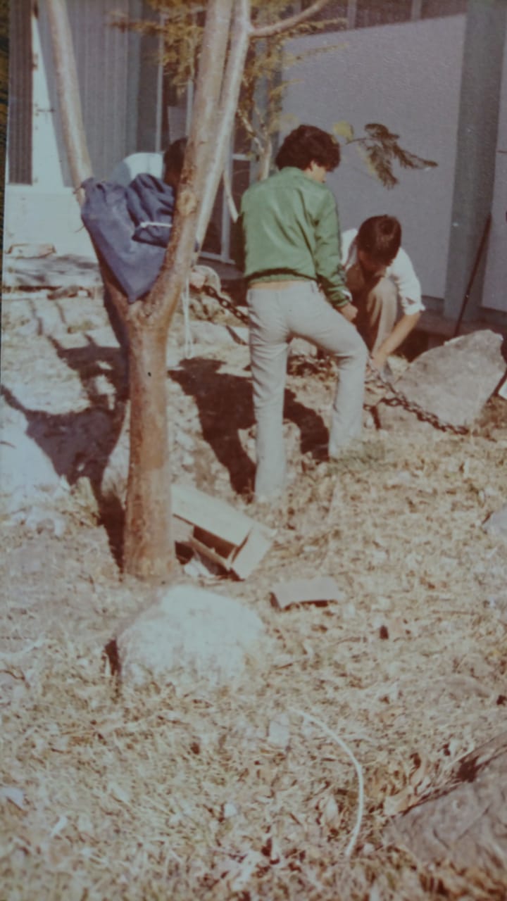 Image 4